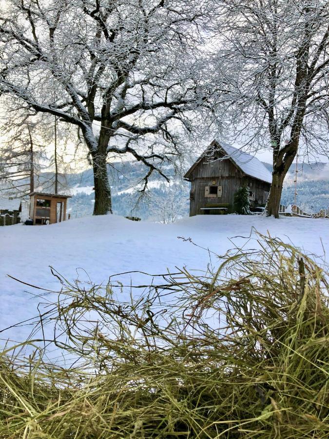 Villa Lutzmannhof Irdning Esterno foto